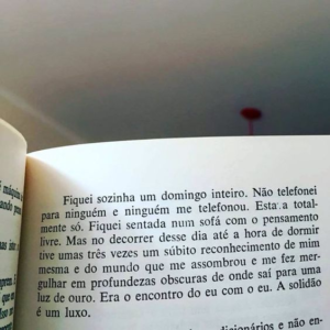 A companhia da solidao
